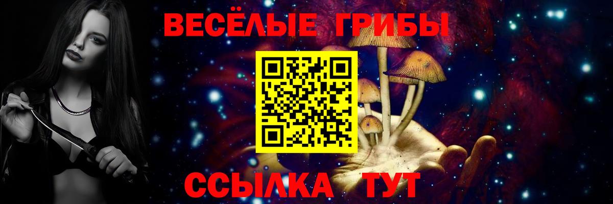 Псилоцибиновые грибы прущие грибы  Вход с VPN  Менделеевск 
